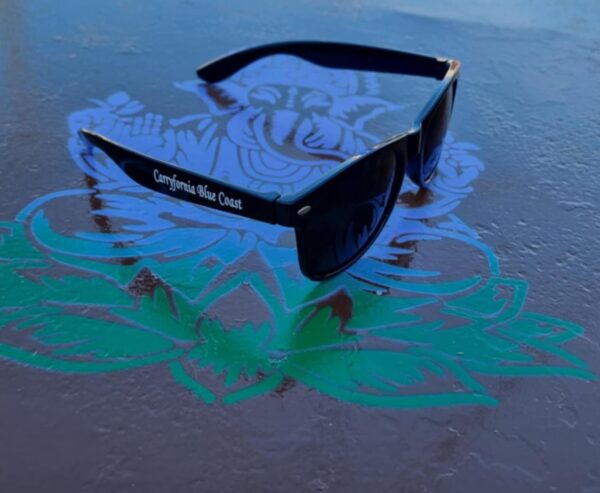 Lunette Carry the Coast – Image 4